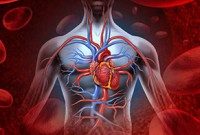 Optimizing Blood Levels of Vitamin C