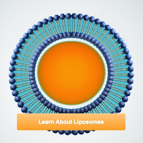 learn-about-liposomes